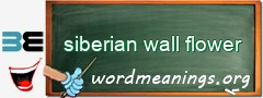 WordMeaning blackboard for siberian wall flower